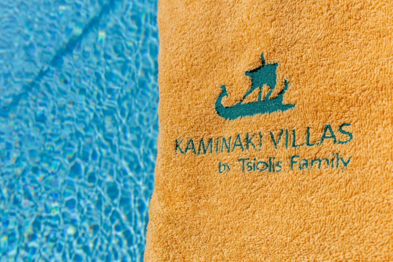 Villa Angeliki By Tsiolis Family Katavolos ภายนอก รูปภาพ